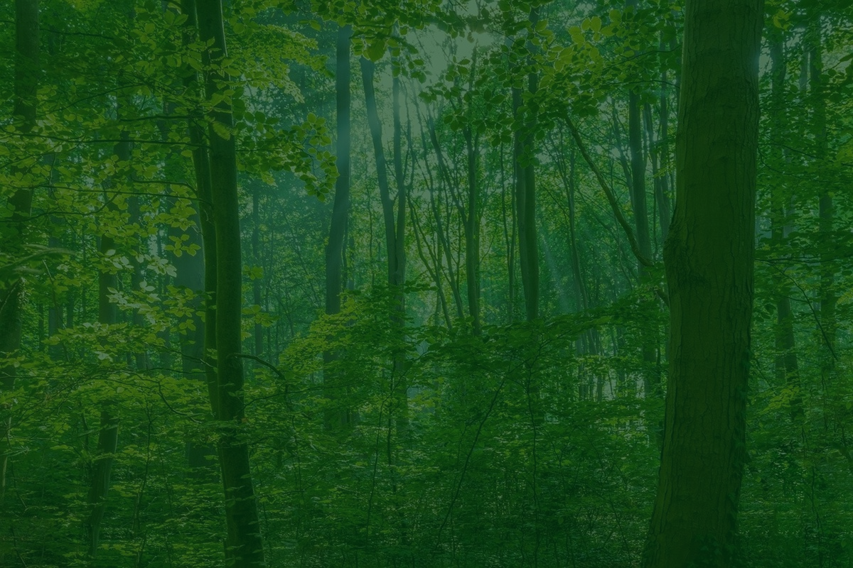 frgreen